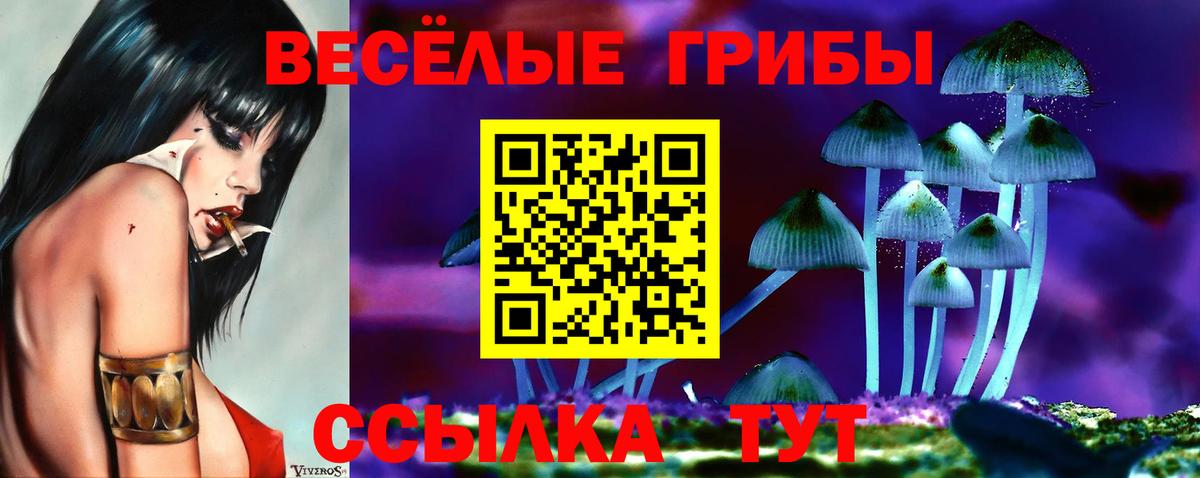 Луховицы  Псилоцибиновые грибы мухоморы  Вход с VPN  Псилоцибиновые грибы мицелий 