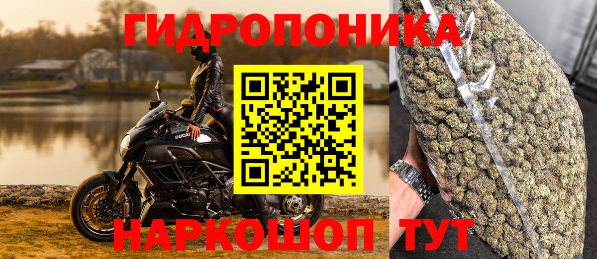 Каннабис ГИДРОПОН Луховицы